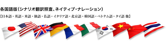 各国語版（シナリオ翻訳照査、ネイティブ・ナレーション）イメージ