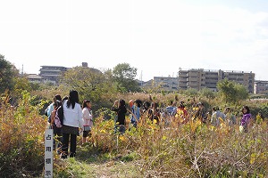 写真：こども自然観察会の様子