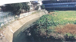 写真：多自然川づくり施工前