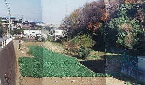 写真：ビオトープ整備前