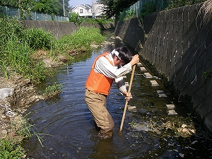 写真：魚類調査の様子