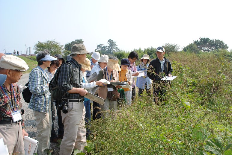 学識経験者を招いた植物観察会