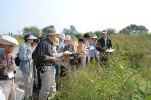 学識経験者を招いた植物観察会（拡大画像へのリンク）