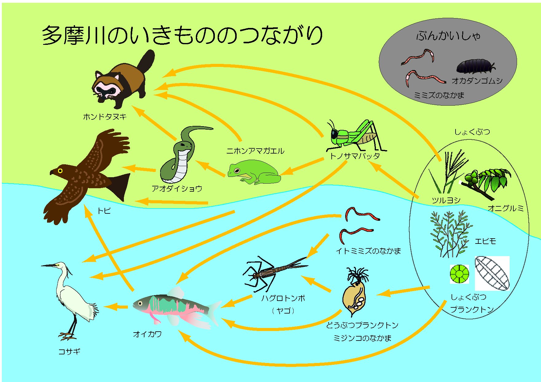 生きもののつながりゲームの解説