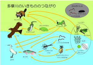 生きもののつながりゲームの解説（拡大画像へのリンク）