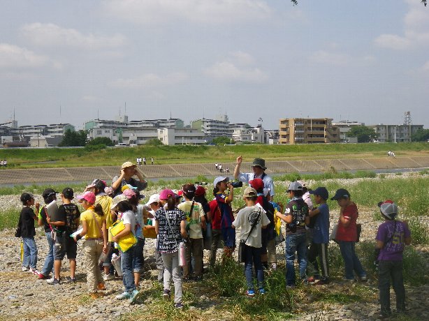 小学生向けの鳥類観察会