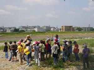 小学生向けの鳥類観察会（拡大画像へのリンク）