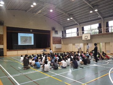 学校のまわりの生物学習会