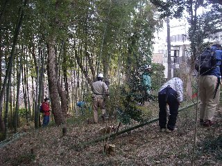 里山保全活動の状況