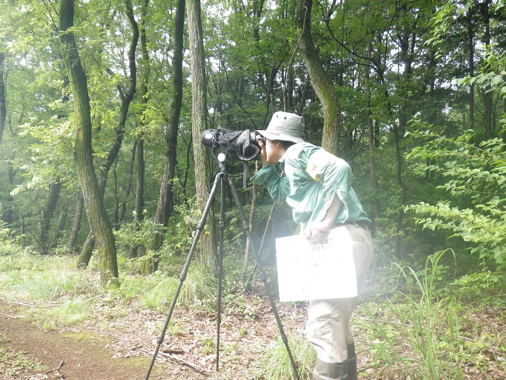 鳥類調査の様子